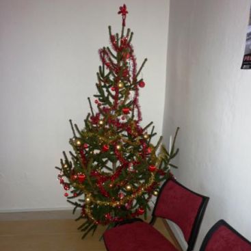 Dámský klub 6. prosince 2013