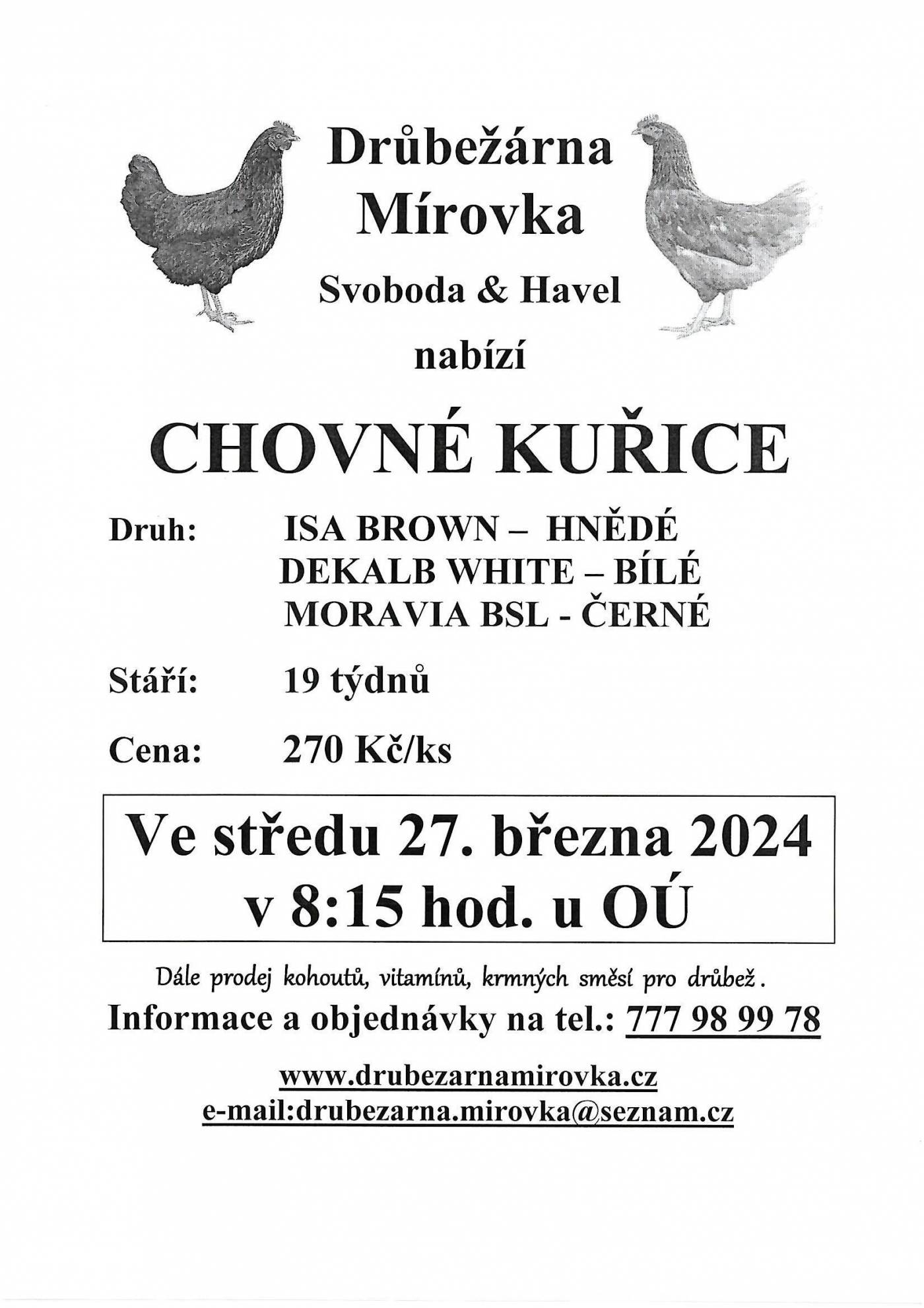 Prodej kuřic - 27.3.2024